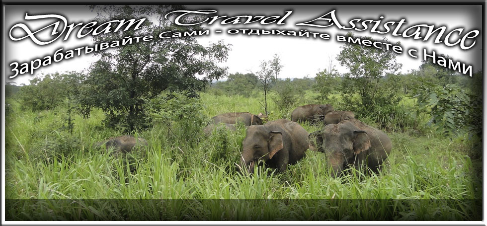 Sri Lanka, Sri Lanka, Информация об Экскурсии (Национальные парки (National parks)) на сайте любителей путешествовать www.dta.odessa.ua